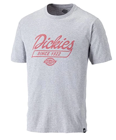 Dickies 22 Northwood Grey Tshirt SH5021